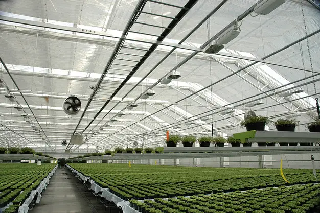 Invernadero moderno con tecnología agritech en San Carlos, Costa Rica